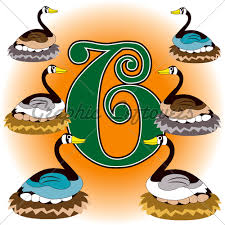 6geese