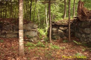 Old_cellar_hole_Fletcher_Mt_3