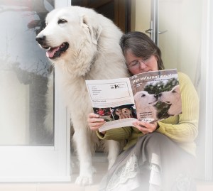 pyr red international