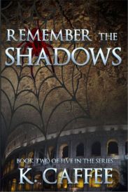 Remember the Shadows pro