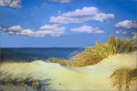 Cape_Cod_Sand_Dune