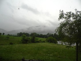 Pine Cabin Rainy Day