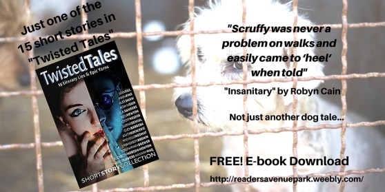 -Scruffy was never a problem on walks and easily came to ‘heel’ when told-