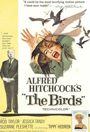 the-birds